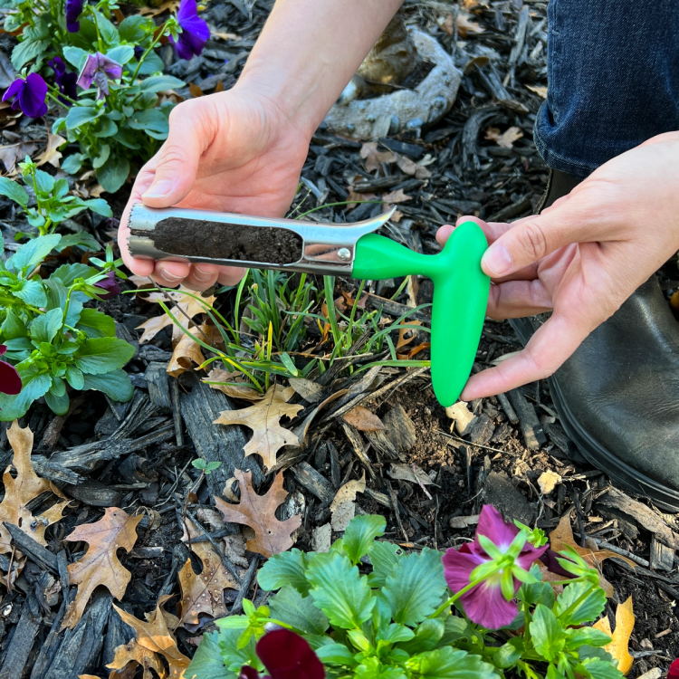 Soil Coring Tool in Use
