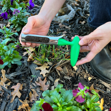 Garden soil test sampling tool with 4-6 inches of garden soil collected in core.