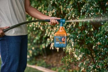 Person using a hose-end sprayer bottle of Sunday Nix Ticks yard control spray, spraying shrubs along a garden border.