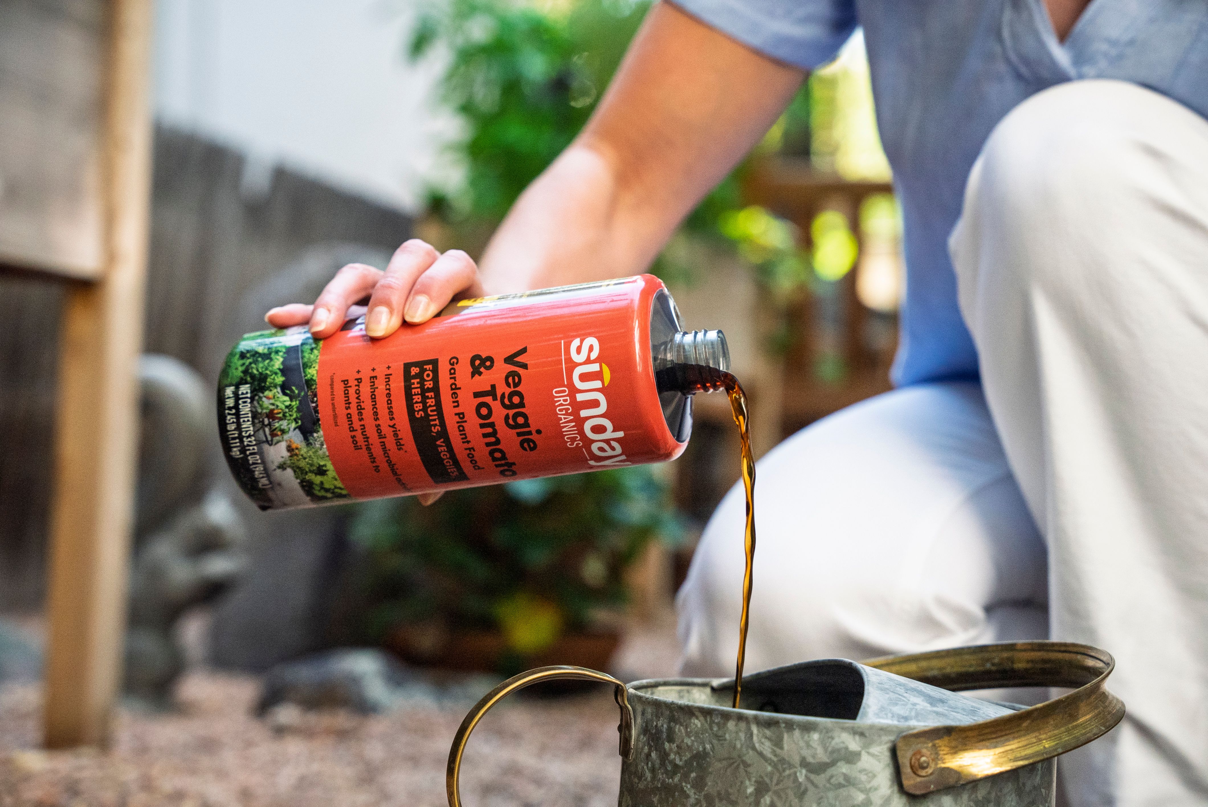 Sunday Veggie & Tomato plant food poured into watering container in garden