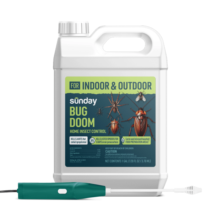 Bug Doom Home Insect Control with Wand Sprayer