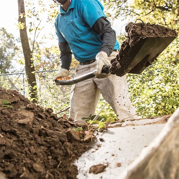 Pro D-handled Transfer Shovel