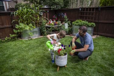 family planting and enjoying their pesticide-free backyard