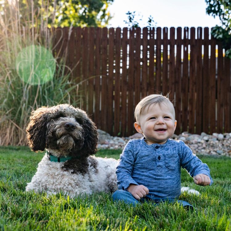 Dog and baby sitting in green grass