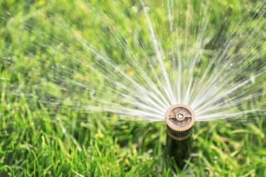 Lawn irrigation system in green grass