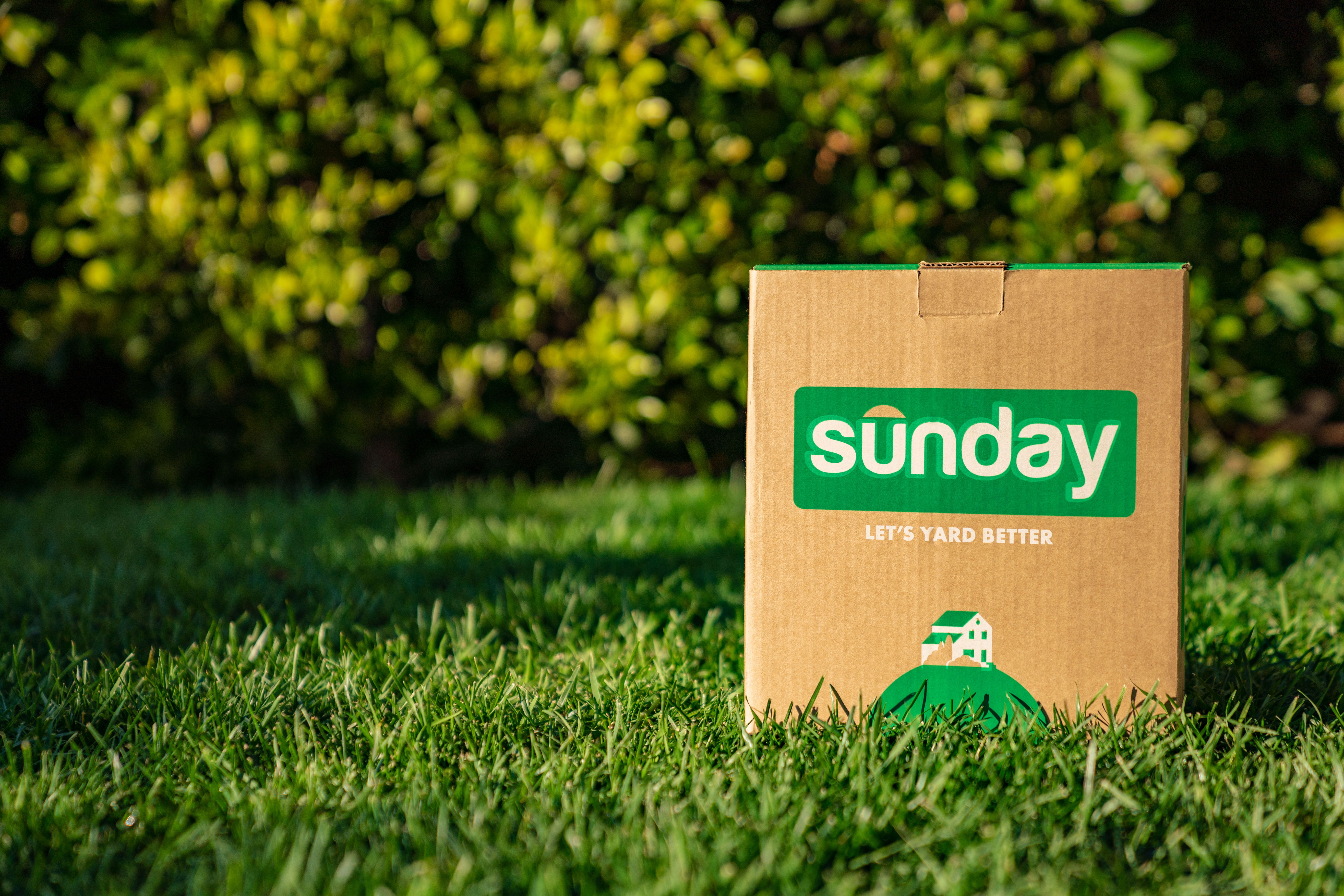 A box of Sunday lawn care products placed in the grass