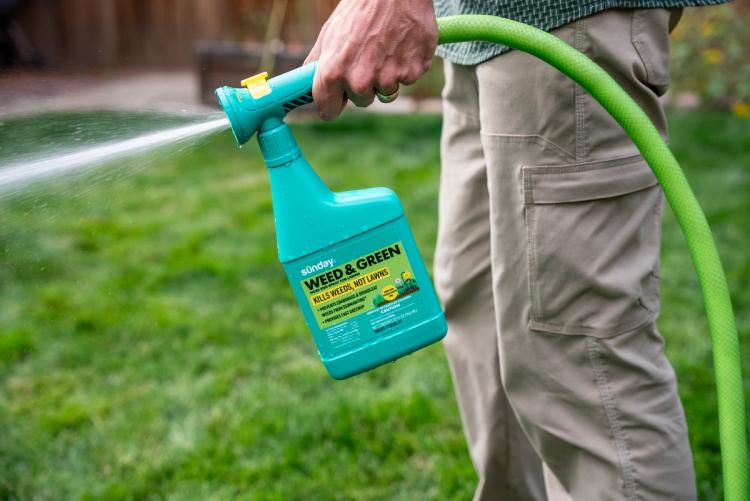 Applying weed & green with a hose end sprayer