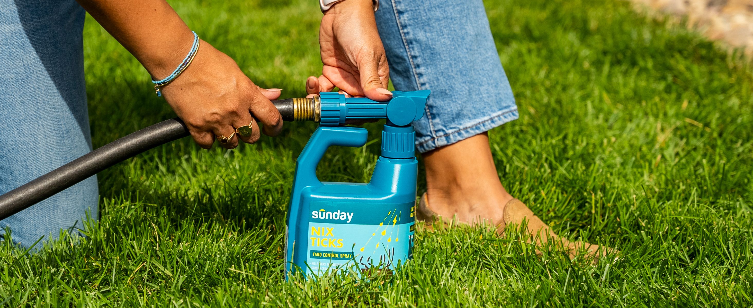 Sunday Nix Ticks on green lawn