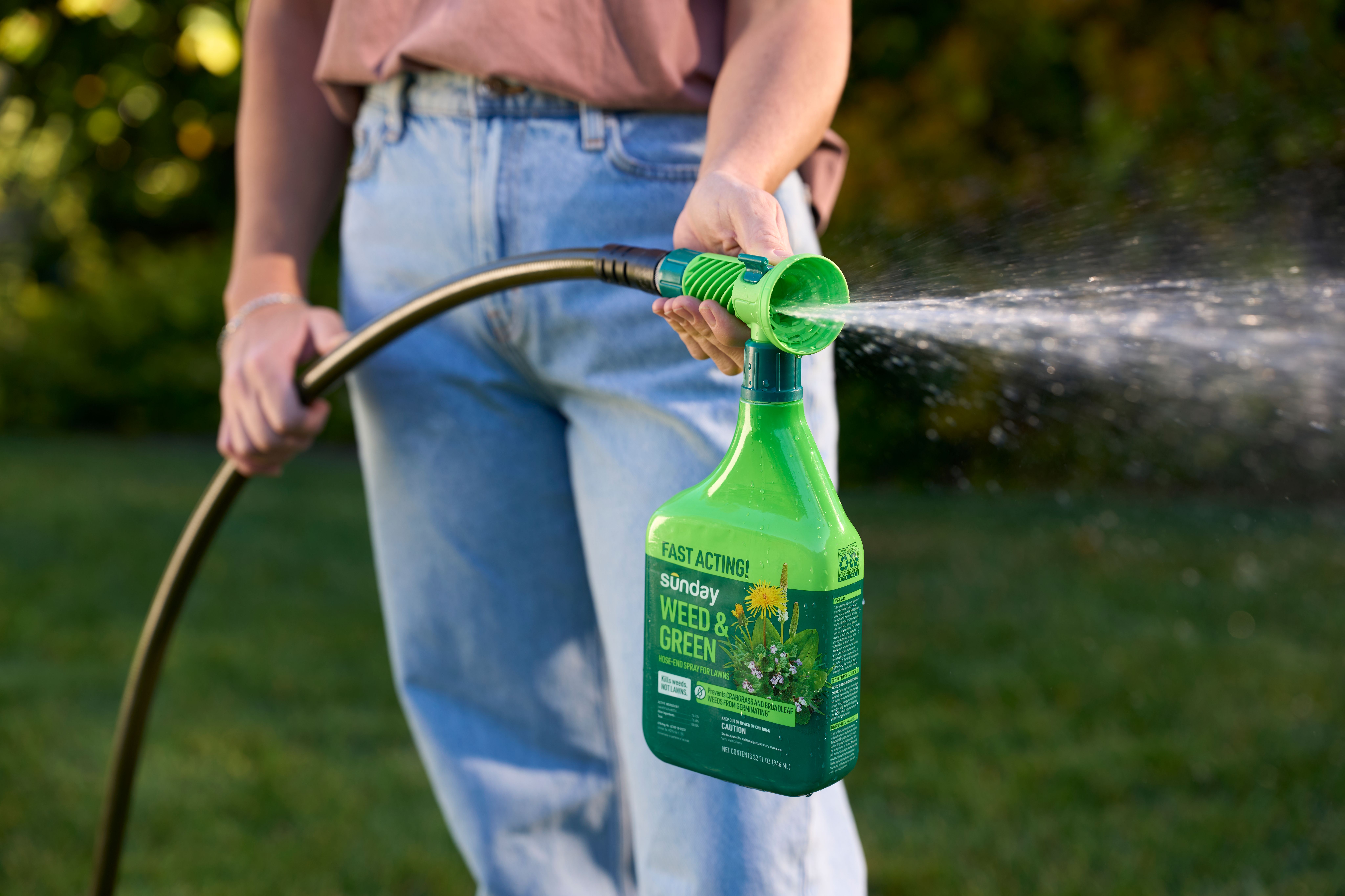 Woman spraying Weed & Green Pre & Post-Emergent Weed Control with a hose end sprayer