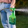 Woman spraying Weed & Green Pre & Post-Emergent Weed Control with a hose end sprayer