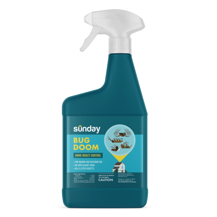 sunday bug doom spray bottle