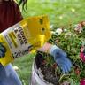 Flower & Rose Organic Garden Nutrients in flower garden