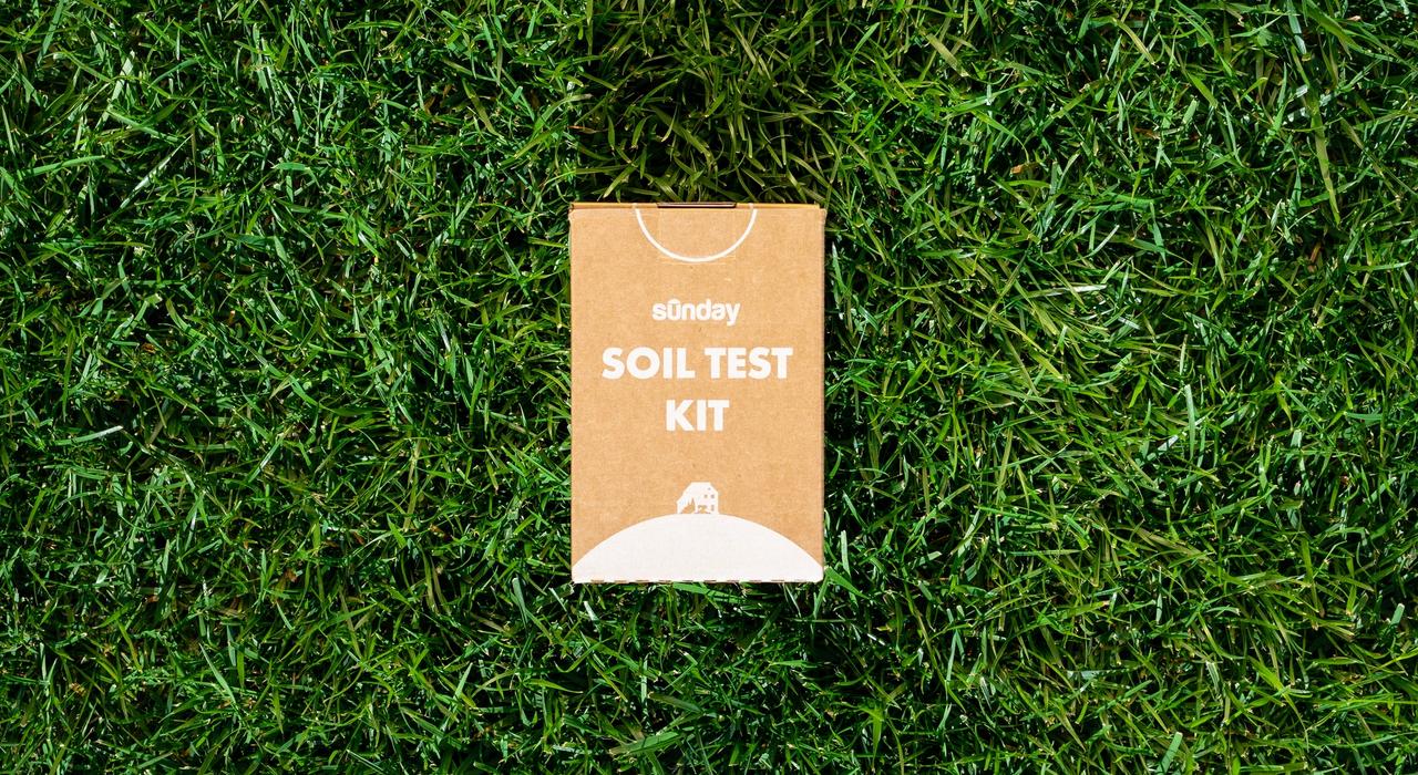 Sunday soil test kit on lawn