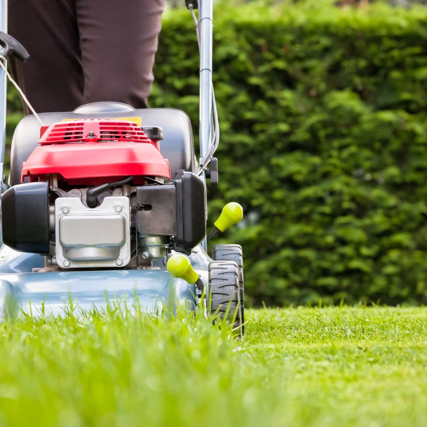 Best Time to Mow | Sunday Lawn Care