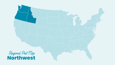 US pest regions map Northwest