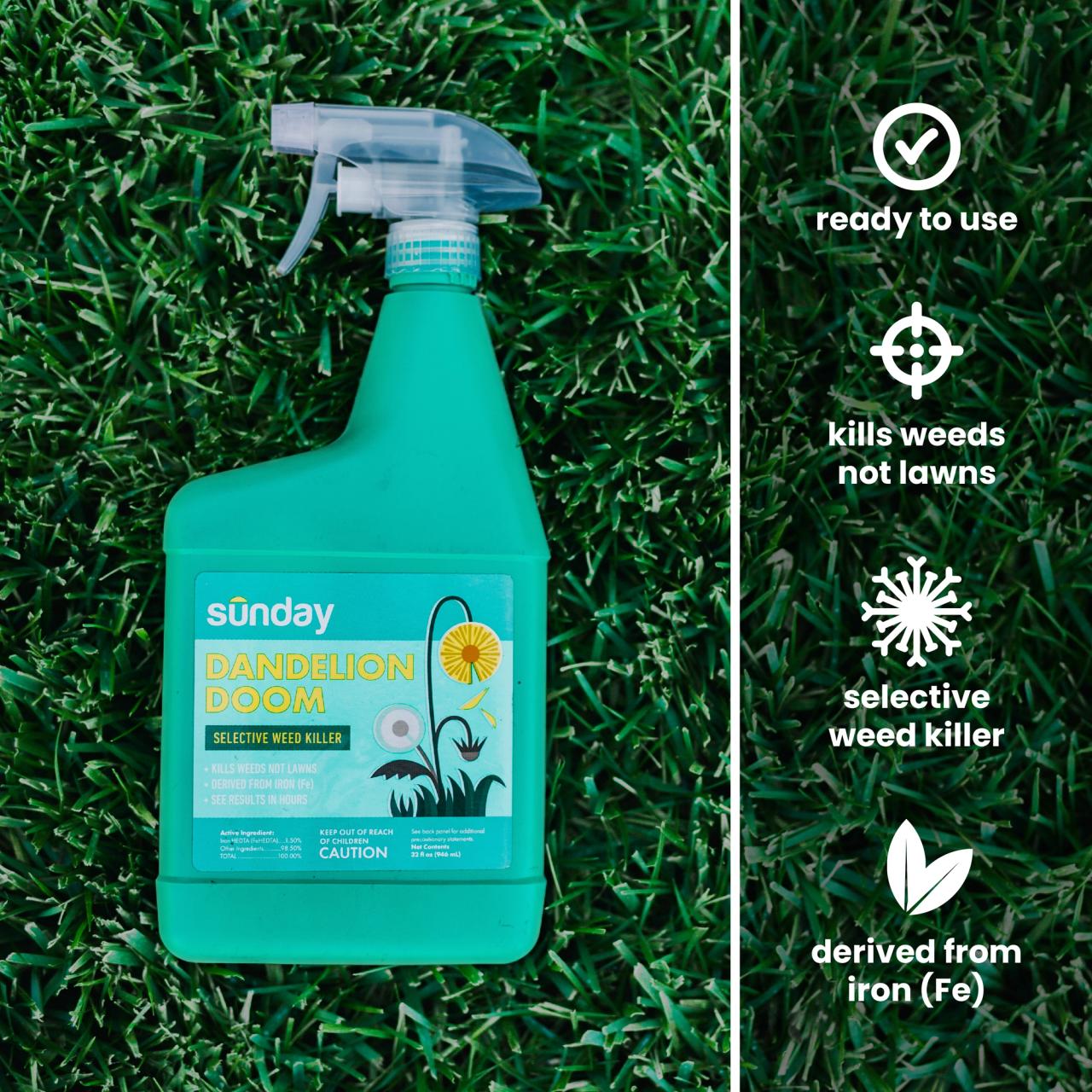 Sunday Lawn Care Dandelion Doom Instructions Sunday Lawn Care Dandelion Doom Instructions