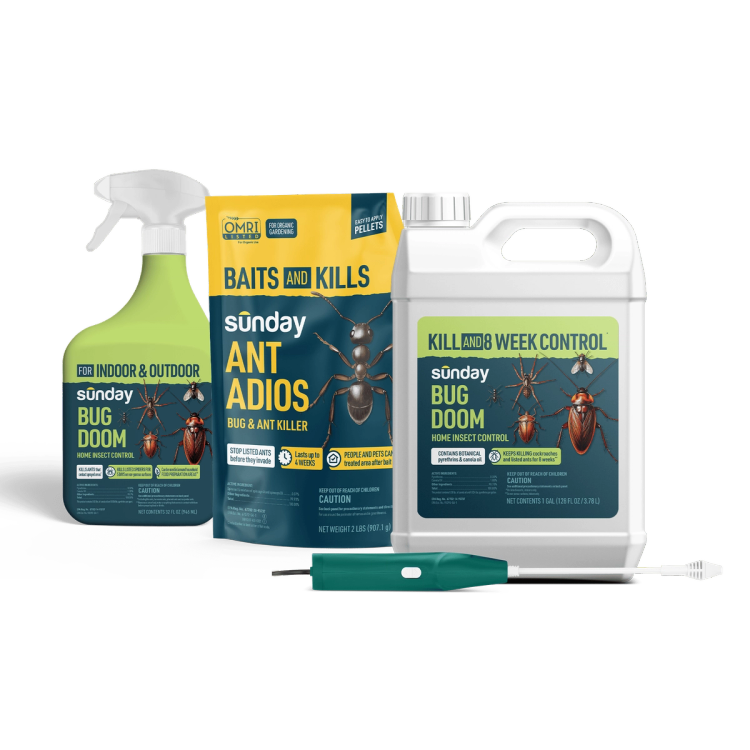 Bug doom (indoor & outdoor) and ant adios