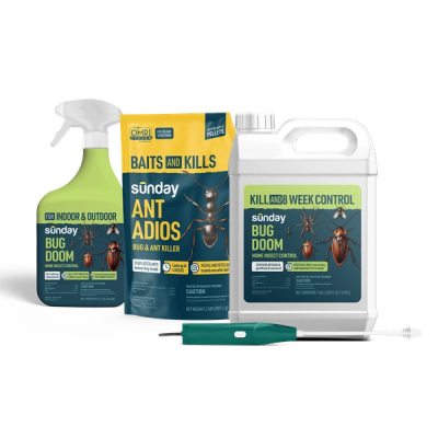 Bug doom (indoor & outdoor) and ant adios