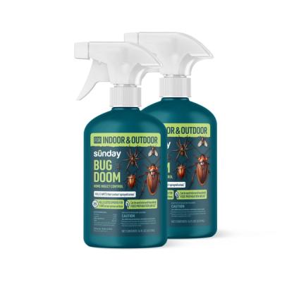Bug Doom Indoor Insect Control Spray
