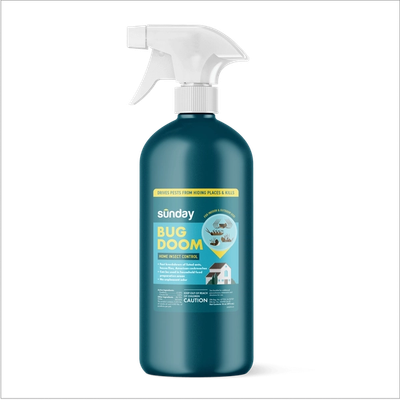 Bug Doom Indoor Insect Control Spray