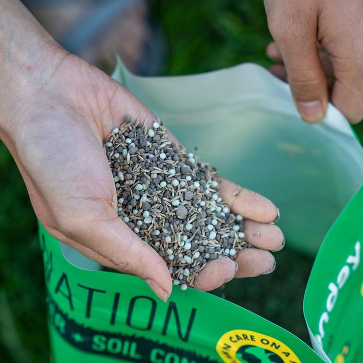 Bare Repair in a hand