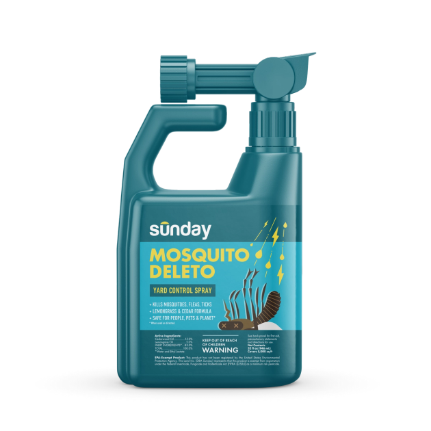 sunday-lawn-care