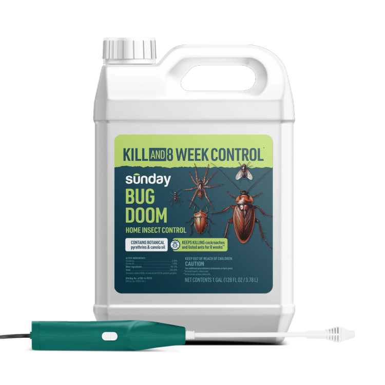 Bug Doom Home Insect Control with Wand Sprayer