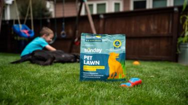 Sunday Pet Lawn urine-resistant grass seed bag on a lush backyard lawn, with a child and black Labrador playing near a swing set.