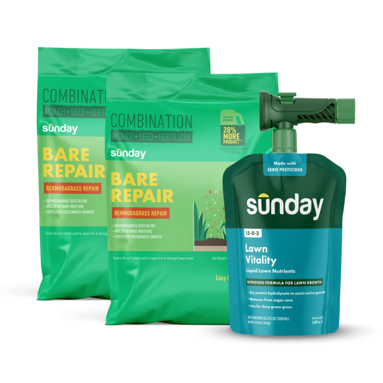 Bermudagrass Patch Kit for Common Bermudagrass Lawns includes: Bare Repair Bermudagrass Lawn Treatment + Grass Seed, Lawn Vitality, and NEW Replacement Sprayer