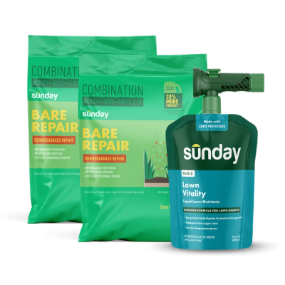 Bermudagrass Patch Kit for Common Bermudagrass Lawns includes: Bare Repair Bermudagrass Lawn Treatment + Grass Seed, Lawn Vitality, and NEW Replacement Sprayer