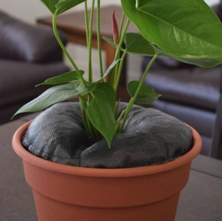 TreeDiaper® 12" Hydration Mat