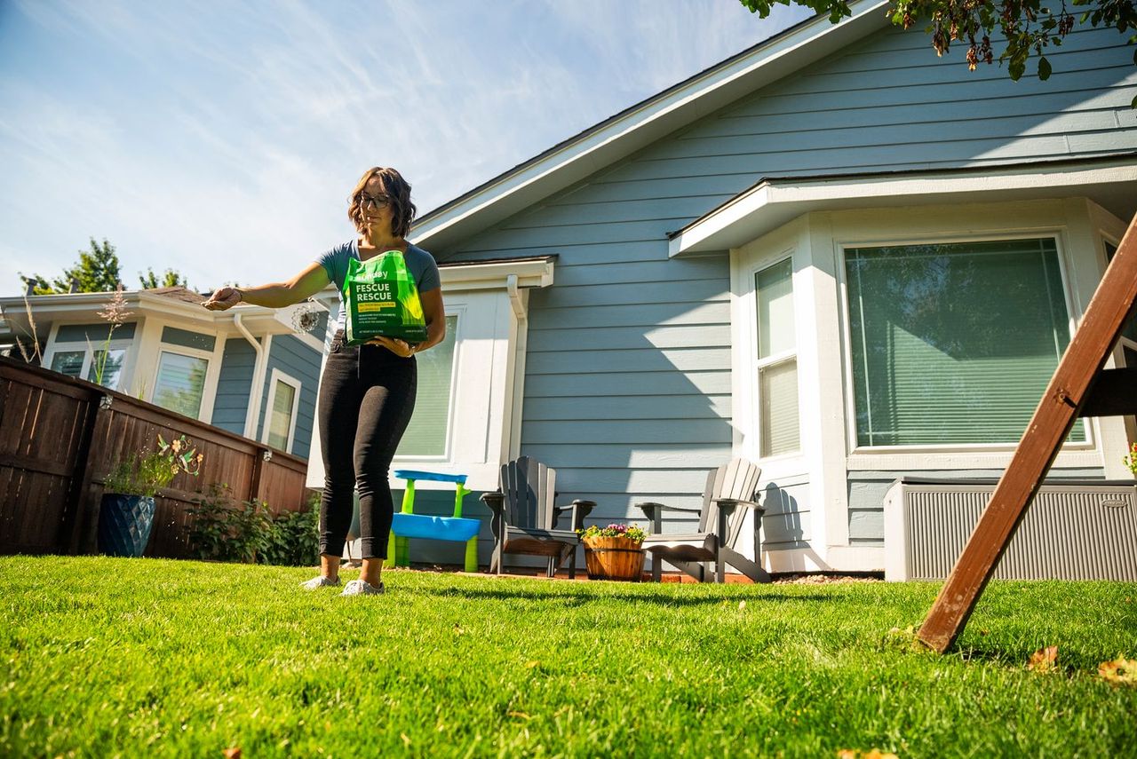 Fescue Rescue Grass Seed | Sunday Lawn Care | Sunday Lawn Care