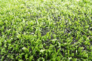 Artificial turf in a residential lawn