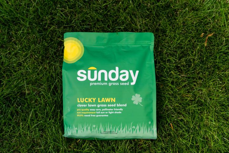 Bag of Lucky Lawn on grass
