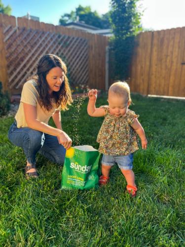 Toddler spreading Lucky Lawn seed and microclover mix across backyard lawn
