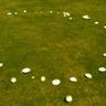 fairy ring