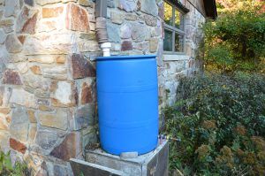 Rain barrel in backyard