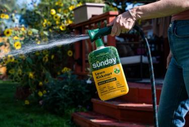 Person using a hose-end sprayer bottle of Sunday “Lawn Kickstart” liquid lawn fertilizer, spraying a fine mist in a backyard garden.