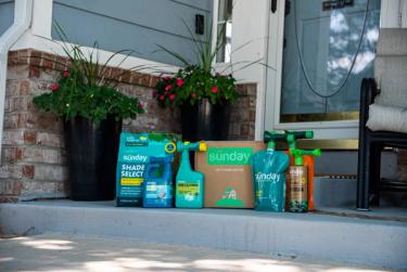 Sunday comprehensive lawn and yard plan on front porch of home.