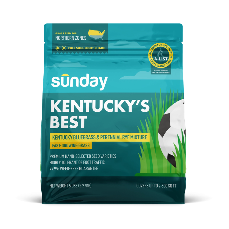 Bag of Sunday Kentucky's Best, a bluegrass grass seed blend