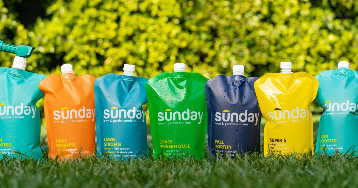 the-ultimate-lawn-care-calendar-sunday-lawn-care
