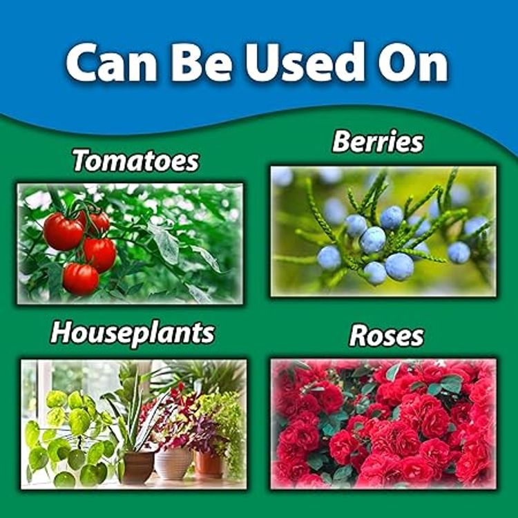 Can be used on tomatoes, berries, houseplants, and roses