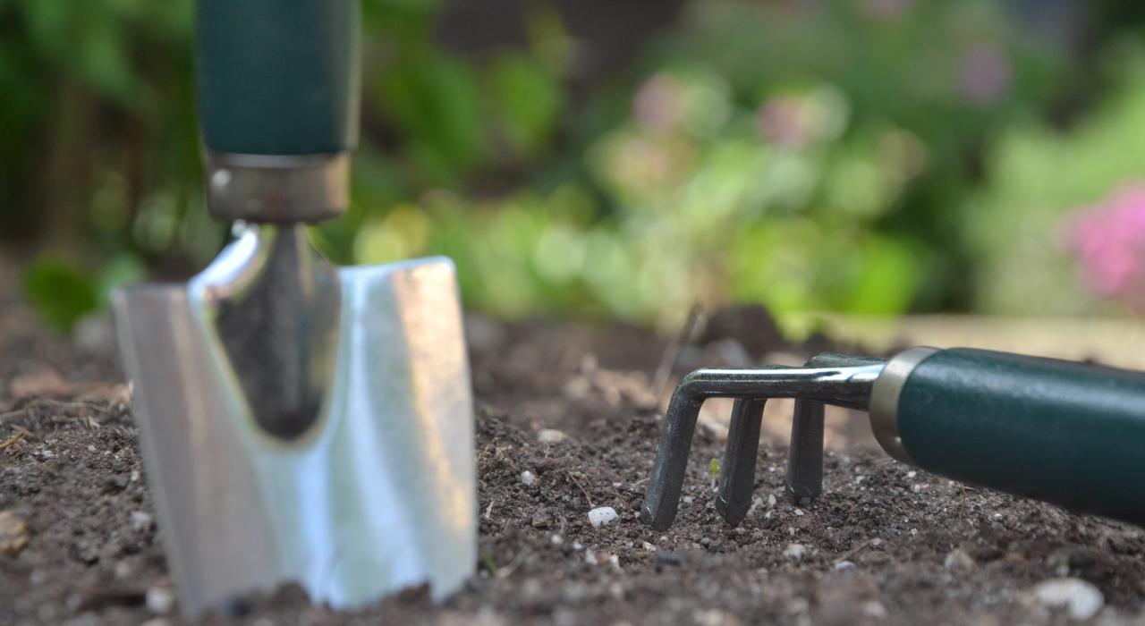 Garden tools in garden bed