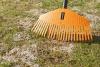 Raking away matted and dead grass in spring lawn