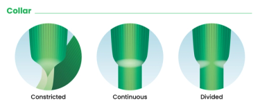 Graphic that shows collar as part of how to identify grass