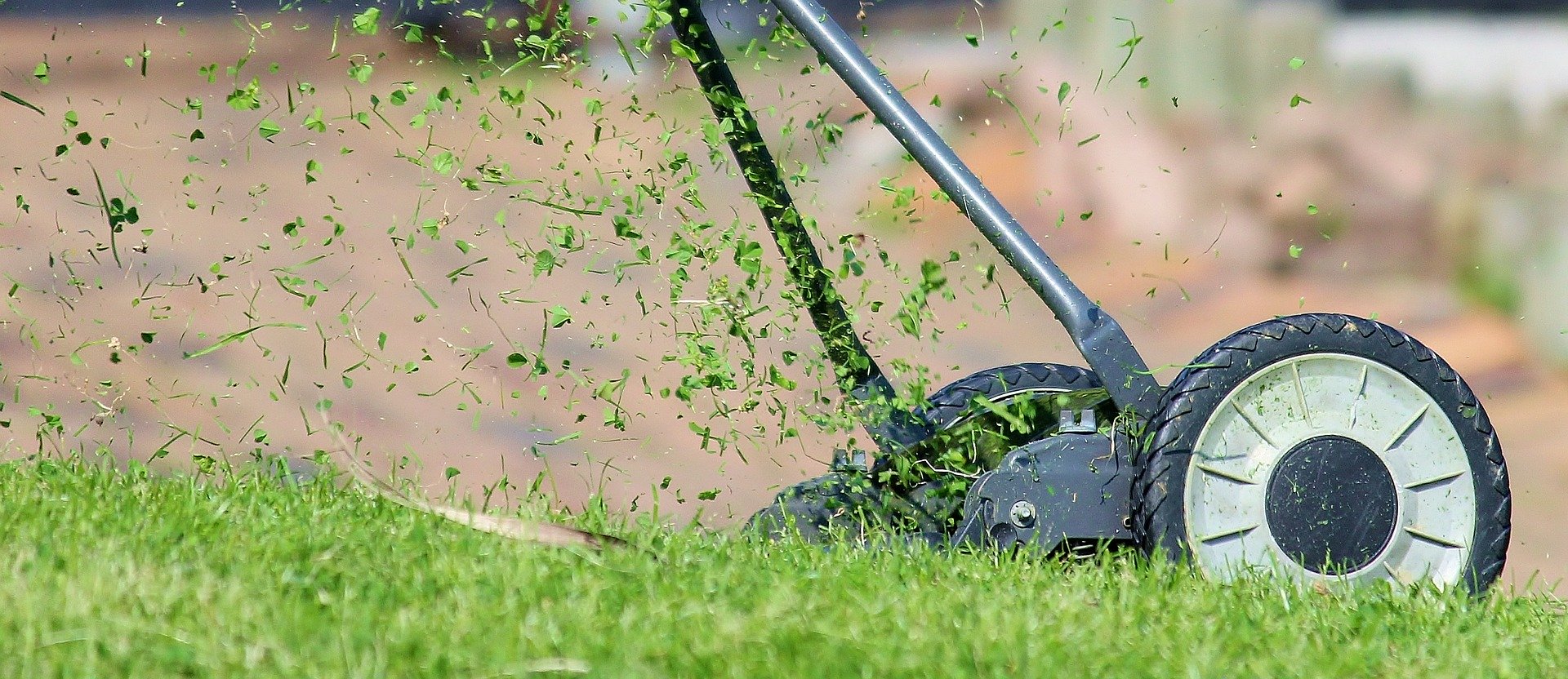 Mower and grass clippings