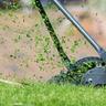 Mower and grass clippings