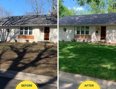 Before and after of a yard transformation, turning a patchy brown winter lawn into a full, lush spring green ecosystem.