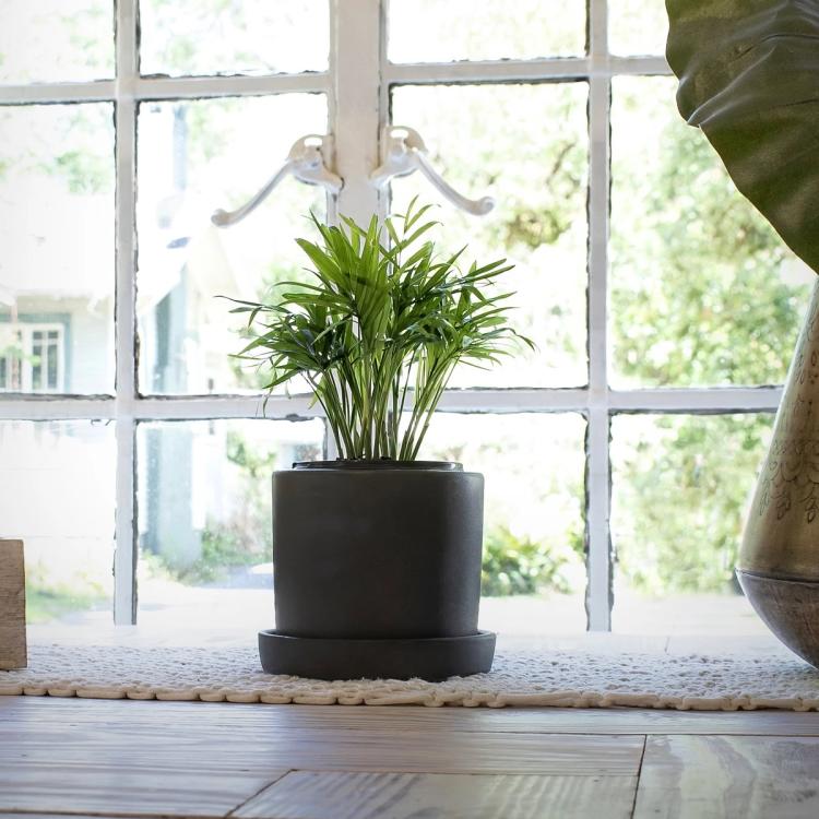 Black hyde planter on windowsill with parlor palm planted in it