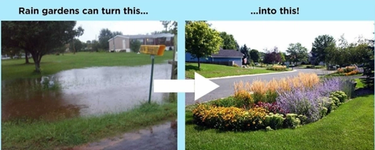 Flooded lawn to rain garden pathway